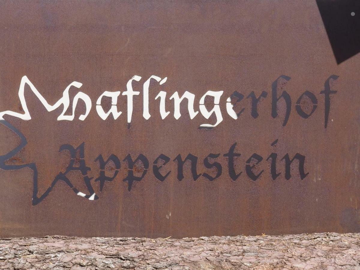 平斯旺Haflingerhof Appenstein别墅 外观 照片